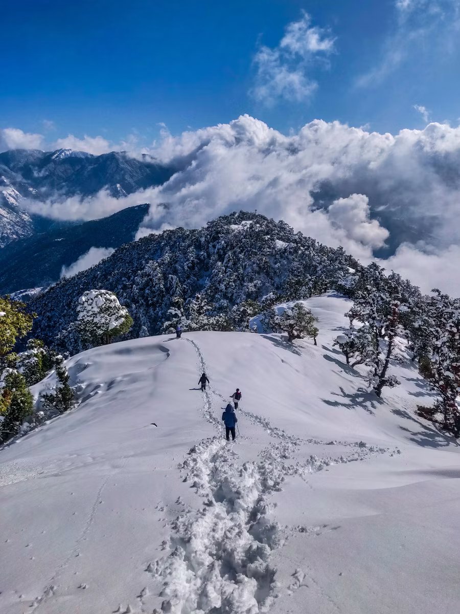 Himachal tour packages with mountains valleys and family holidays